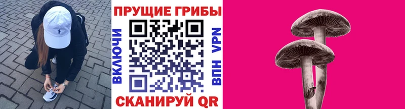 Псилоцибиновые грибы ЛСД  где найти   Таганрог 