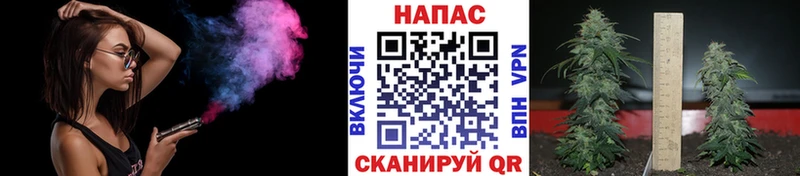 Каннабис OG Kush Таганрог